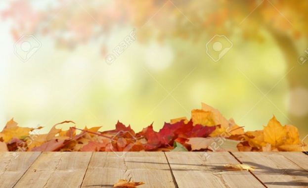 Предстоящи събития в страната 