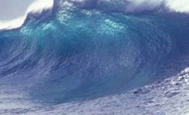 След трусовете цунами удари Нова Зеландия