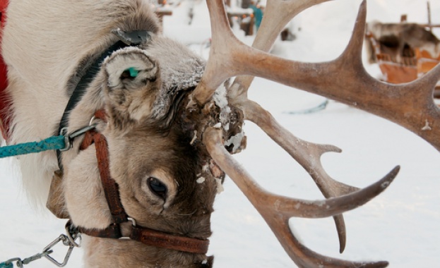 Изберете своята коледна дестинация