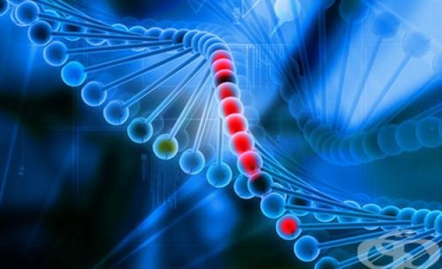 Български студенти впечатлиха света с пробив в генното инженерство