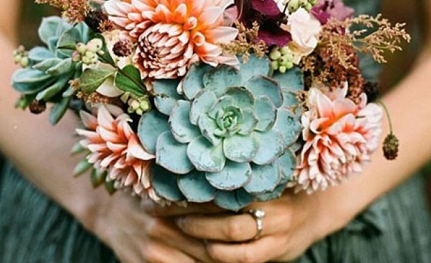 Честит празник на...