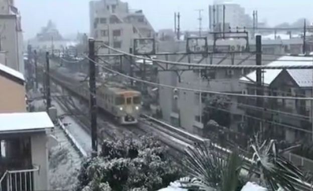 В Токио заваля сняг за първи път от 54 години насам 