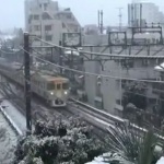В Токио заваля сняг за първи път от 54 години насам 