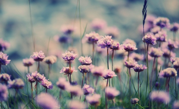 Честит празник на...