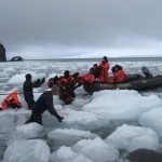 Българската експедиция на Антарктида с рядка находка
