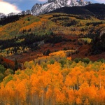 Операторите ще дават информация за GSM на изчезнали хора до два часа