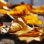 Какво, къде, кога...