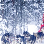 Коледа при Дядо Коледа