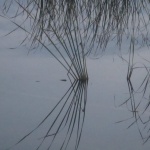 Предстоящи събития в страната 