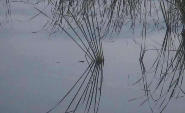 Предстоящи събития в страната 