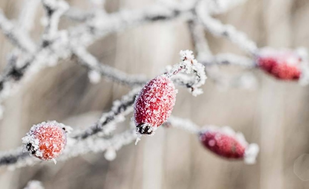 Предстоящи събития в страната 
