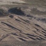 Всички институции проверяват дюните край "Оазис"