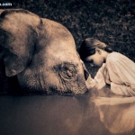 Доволните винаги са щастливи ...