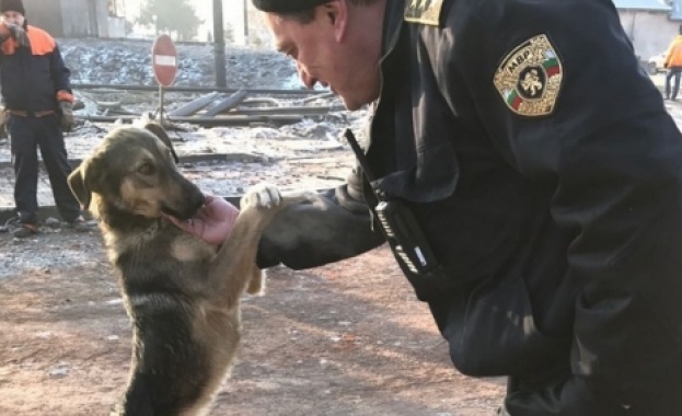 Кой ще реже лентата на новото Хитрино