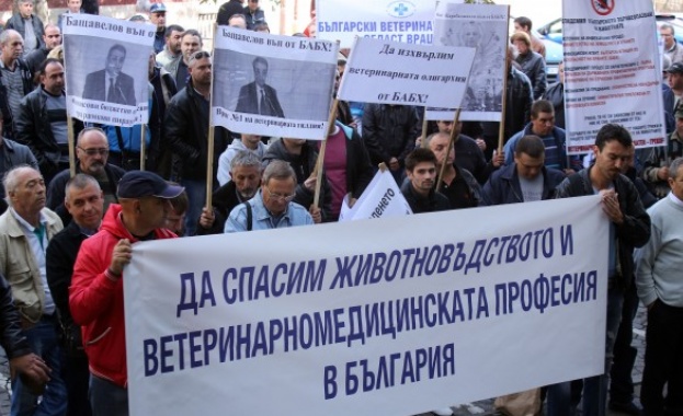ВМРО подкрепя исканията на ветеринарните лекари