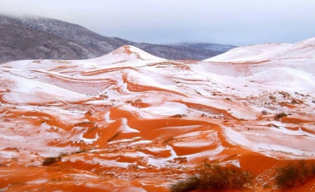 В Сахара заваля сняг