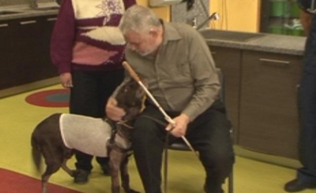 Прецедент в България: Направиха сърдечна операция на куче