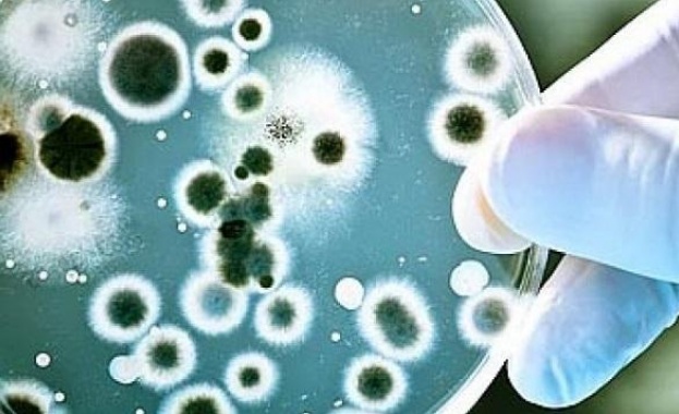 Откриха бактерии на 4 млн. години в една от най-дълбоките пещери 