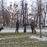 В Дагестан са задържани 7 души, планирали терористични актове в Москва