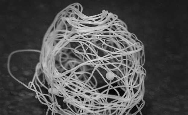 Учени ситнезираха изкуствена паяжина (Видео)