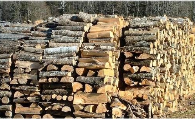 Жители на няколко бобовдолски села все още нямат доставени дърва