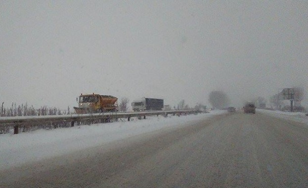130 снегорина са на терен в София 