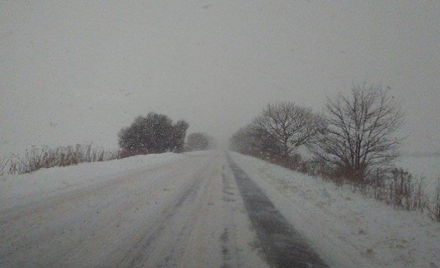 Сняг затрупа пътищата, проходът Петрохан е затворен (обновена)