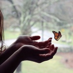 Предстоящи събития в страната