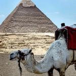 Масово анулират екскурзии до Египет