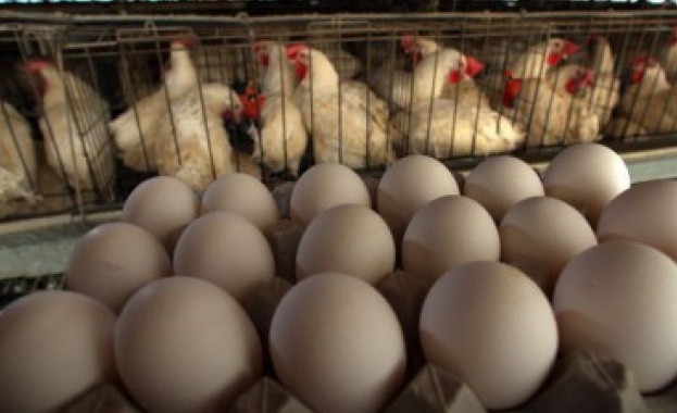 Русия забрани вноса на птици и яйца от някои райони на България и Германия