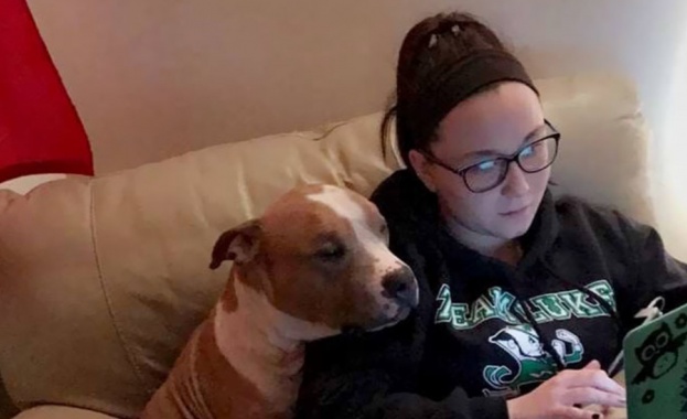 Жена осинови питбул, а той не може да спре да я прегръща