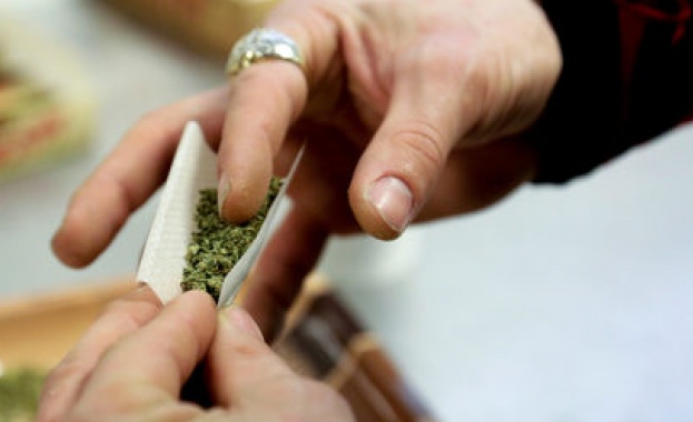 Холандия опитва да узакони отглеждането на марихуана