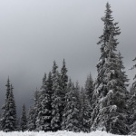 Спасиха двама изгубени сноубордисти в Пирин