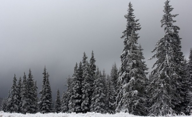 Спасиха двама изгубени сноубордисти в Пирин