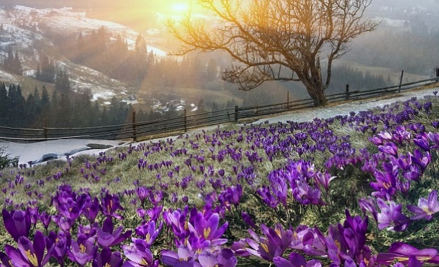 Задава се по-топла седмица