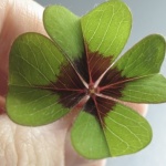 Аз вярвам в късмета: как иначе бихте могли да...