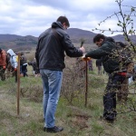 400 фиданки бяха засадени от служители на Райфайзенбанк България 