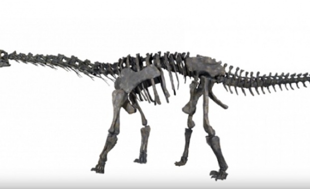 Учени откриха фосили от непознат вид динозаври