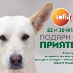 Подари си четириног приятел в Sofia Ring Mall!