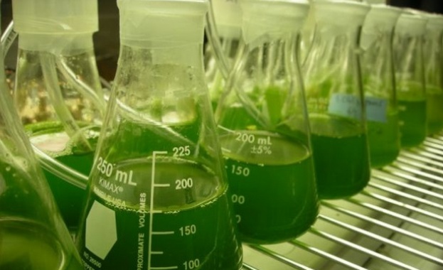 Изграждат център за растителна биология и биотехнология за 15 мил. евро в Пловдив