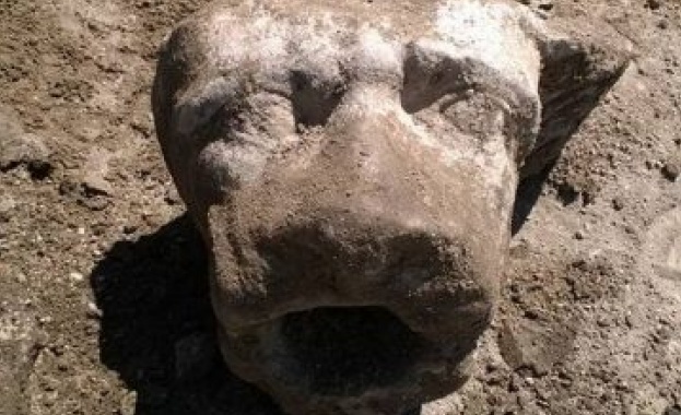 Откриха лъвска глава при разкопките на Хераклея Синтика