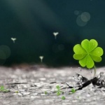 Аз вярвам в късмета: как иначе...