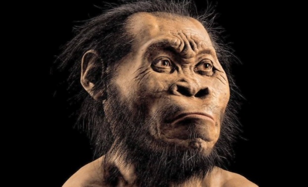 Родствениците на човека са могли да говорят още преди 3 милиона години?