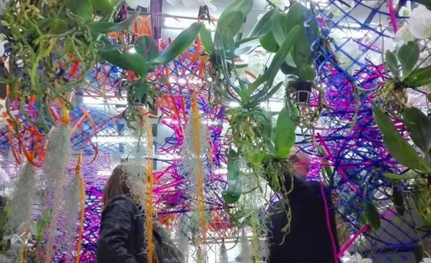 Откриват цветното изложение "Флора 2017" в петък от 11:30 часа