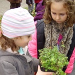 37 проекта ще се състезават за финансиране по програмата „Мтел еко грант“