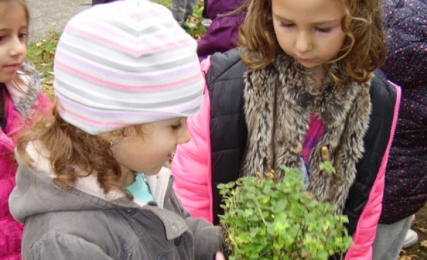 37 проекта ще се състезават за финансиране по програмата „Мтел еко грант“