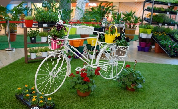 Изложението "Цветни дни" стартира в SOFIA RING MALL