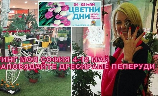 Интерактивен контакт с живи пеперуди в Ринг Мол София до 18 май