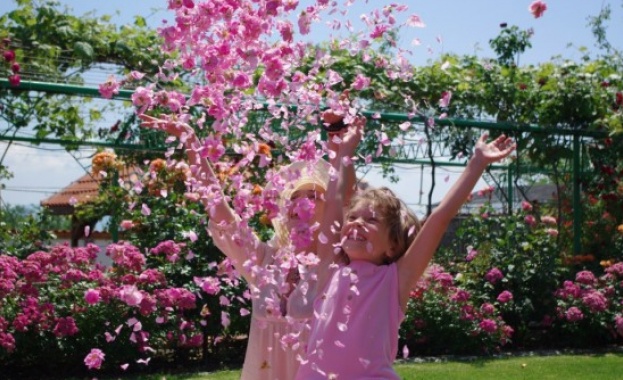 Между 3 и 3.50 лв. е изкупната цена за килограм розов цвят 