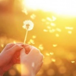 Има само два начина да изживееш живота си ... 